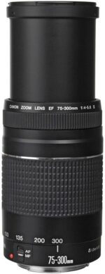 Canon EF 75-300mm f/4-5.6 III Telephoto Zoom Lens for Canon SLR Cameras, 6473A003 (Renewed) - Image 5
