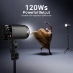 NEEWER 120Ws 2.4G TTL Outdoor Strobe Flash, Compatible with Godox, 1/8000s HSS Portable Studio Monolight with Modeling Light /3000mAh Battery/420 Flashes/1.5s Recycle for Photography Photoshoots, Q120 - Image 3