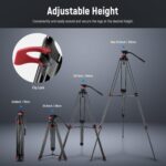 NEEWER 79"/200cm Video Tripod, Heavy Duty Aluminum Alloy Camera Tripod Stand with 360° Fluid Drag Head, QR Plate Compatible with Canon Nikon Sony and Other DSLR Camera Camcorder, Load Up to 17.6lb/8kg - Image 3