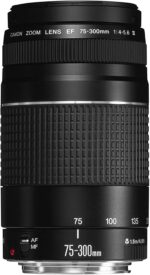 Canon EF 75-300mm f/4-5.6 III Telephoto Zoom Lens for Canon SLR Cameras - Image 2